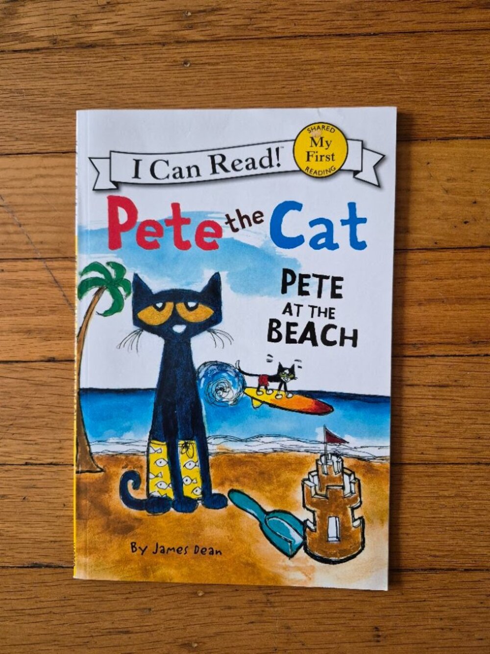 Pete The Cat Pete At The Beach I can Read